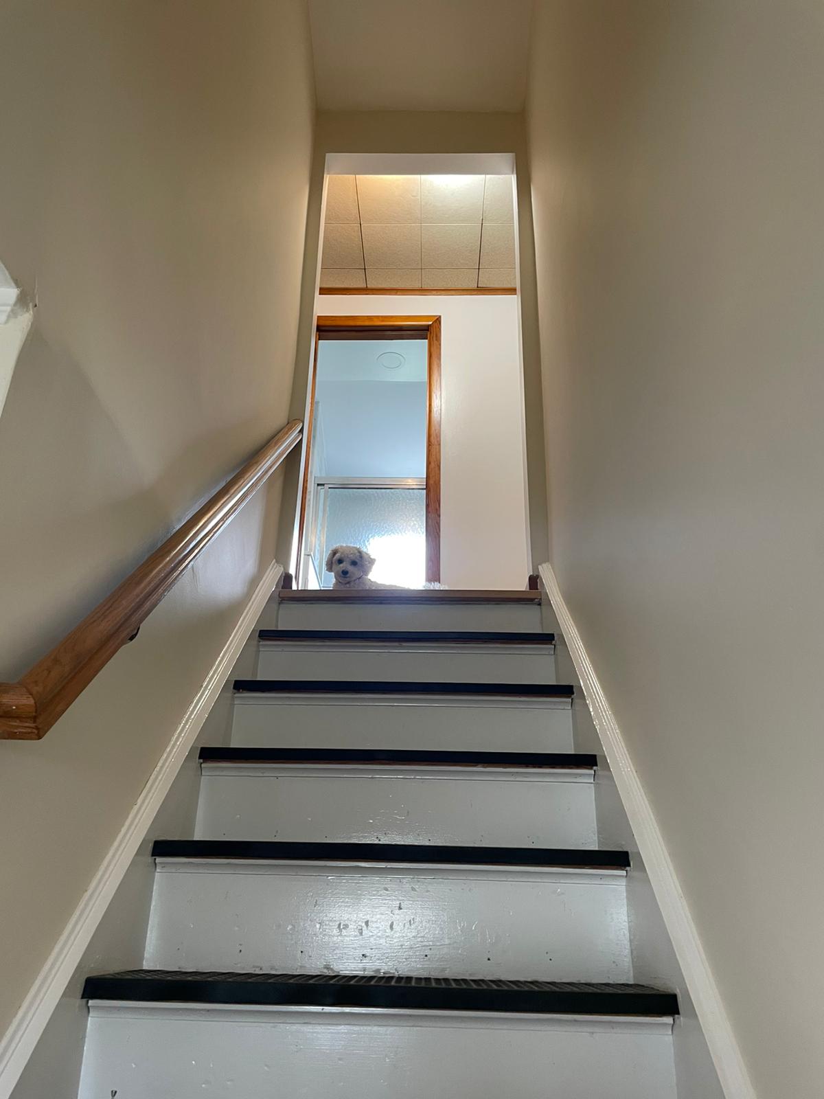 Habitación privada hermosa en sótano