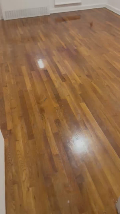 Habitaciones privadas en flushing, queens