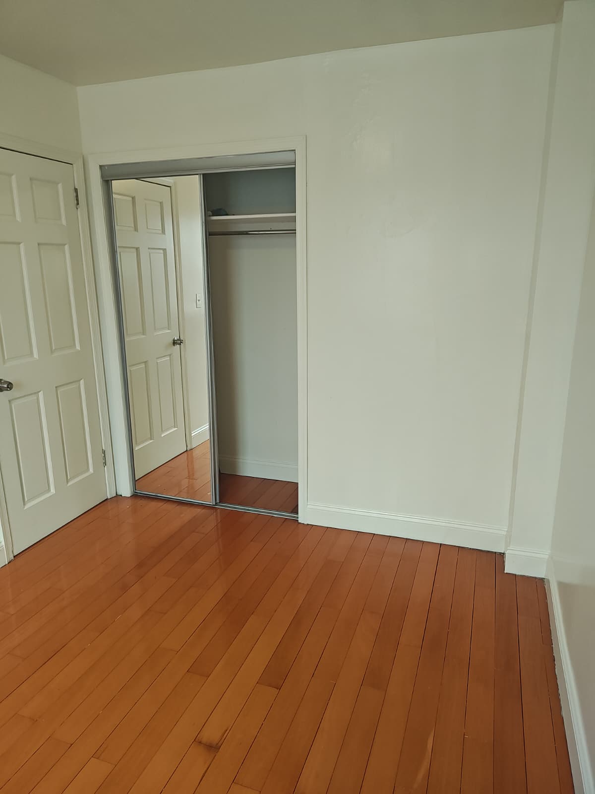 Corona-Queens, cerca de todo.