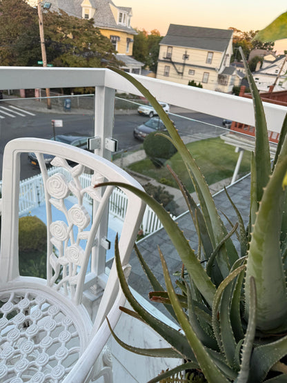 Habitación en el Bronx en casa particular, cerca de todo, con acceso a patio y balcón.