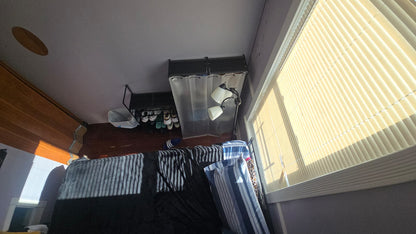 Habitación privada en College Point, ideal para un estilo de vida calmado y trabajador