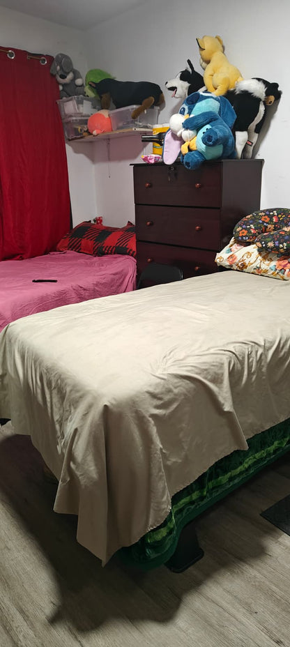 Habitación compartida en Crown Heights